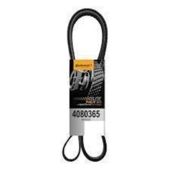BANDA MULTI-V 8PK0925 CONTINENTAL 4080365 (K080365)