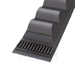BANDA BX56 CONTINENTAL